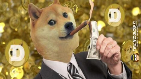 doge-coin-al-tut