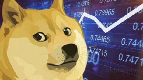 doge-coin-madencilik