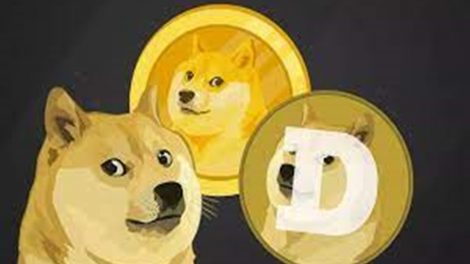 doge-coin-yavru-dogurdu1
