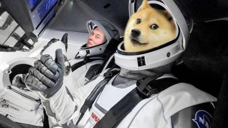 doge-musk-mujde1