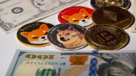 dogecoin-shiba-elon-musk-1