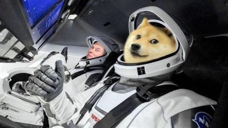 doge-coin-ucuyor-musk