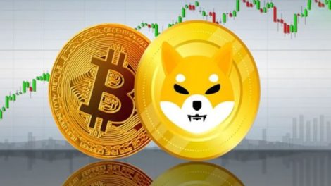 shiba-bitcoin1