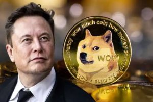 doge-coin-web39