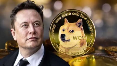 doge-coin-web39