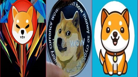 shıb-doge-babydoge