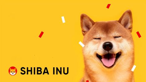 SHIB-Shiba-Inu-yorum